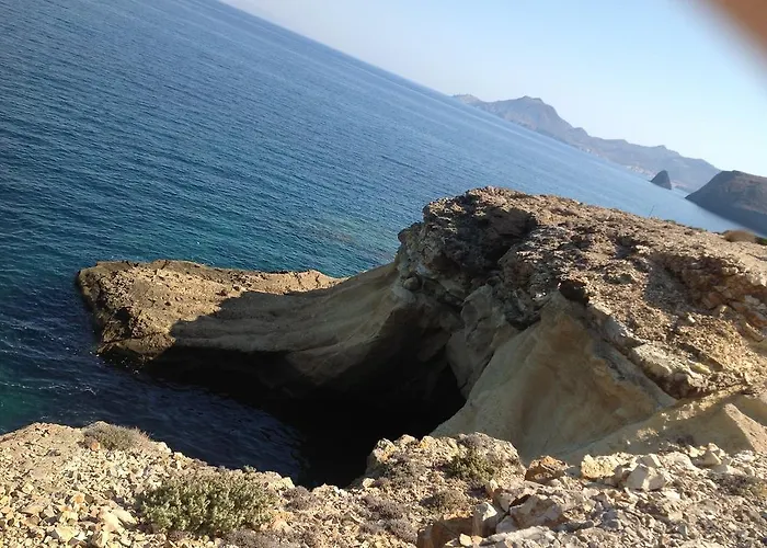 Niriides * Пачаина