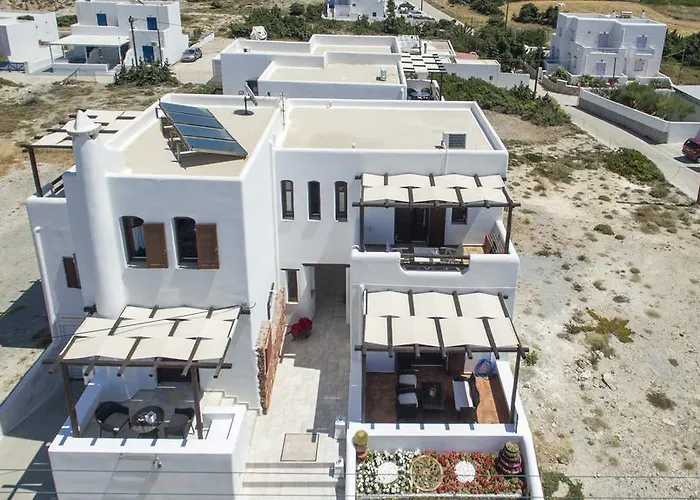 Niriides * Пачаина