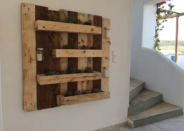 Niriides * Пачаина