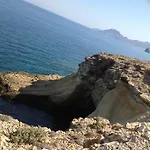 Niriides * Pachaina