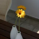 公寓 Niriides Pachaina