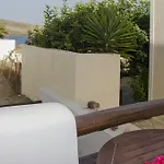 Niriides