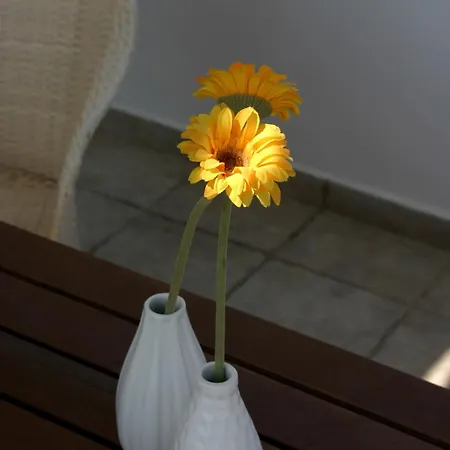 شقة Niriides Pachaina