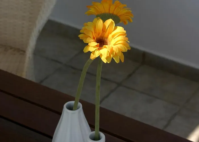 公寓 Niriides Pachaina